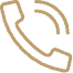 Phone Icon
